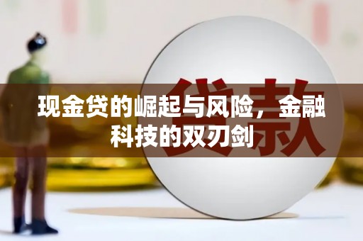 浦东现金贷的崛起与风险，金融科技的双刃剑