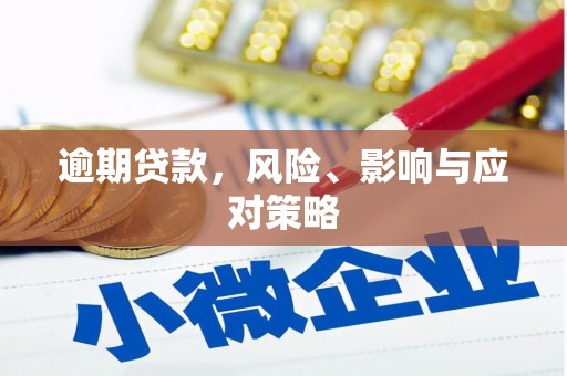 浦东逾期贷款，风险、影响与应对策略