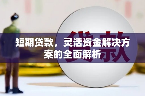 浦东短期贷款，灵活资金解决方案的全面解析