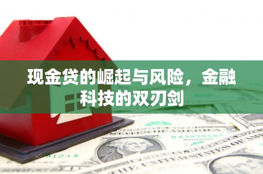浦东现金贷的崛起与风险，金融科技的双刃剑