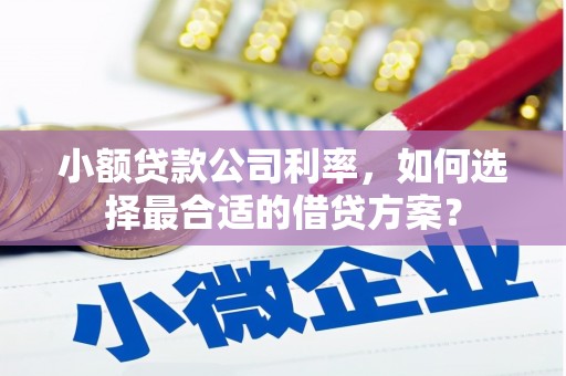 浦东小额贷款公司利率，如何选择最合适的借贷方案？