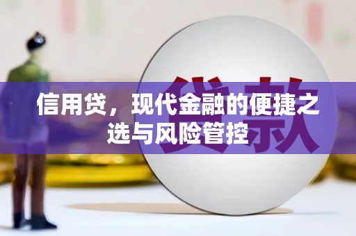浦东信用贷，现代金融的便捷之选与风险管控