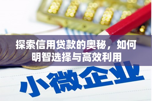 浦东探索信用贷款的奥秘，如何明智选择与高效利用