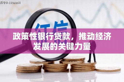 浦东政策性银行贷款，推动经济发展的关键力量
