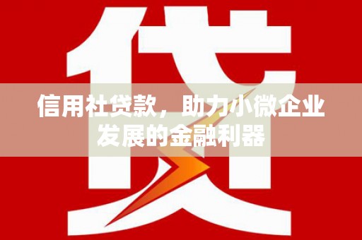 浦东信用社贷款，助力小微企业发展的金融利器