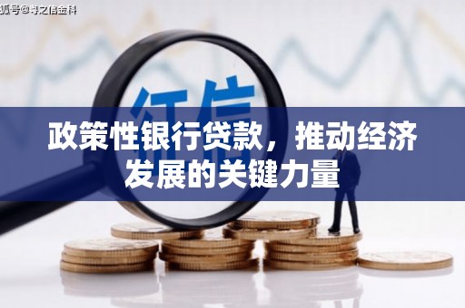 浦东政策性银行贷款，推动经济发展的关键力量