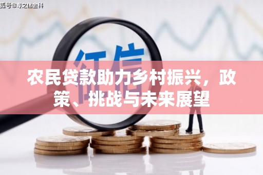 浦东农民贷款助力乡村振兴，政策、挑战与未来展望