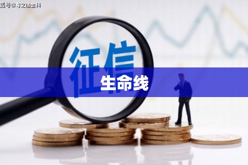 浦东生命线
