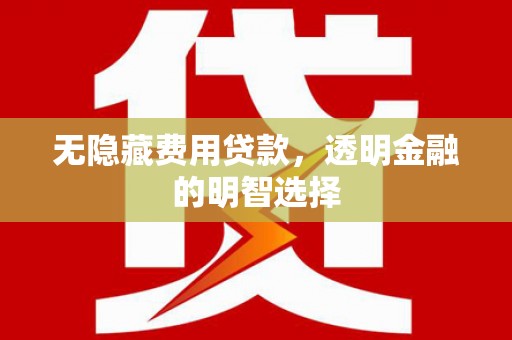 浦东无隐藏费用贷款，透明金融的明智选择