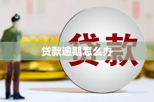 浦东贷款逾期怎么办