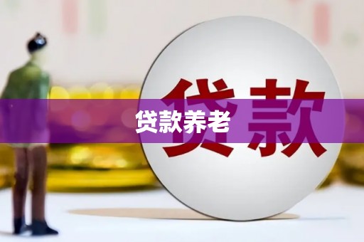 浦东贷款养老