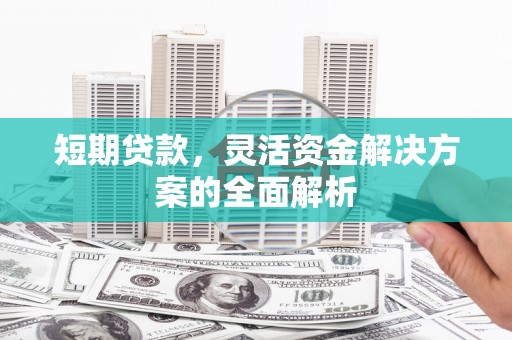 浦东短期贷款，灵活资金解决方案的全面解析