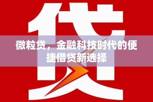 浦东微粒贷，金融科技时代的便捷借贷新选择
