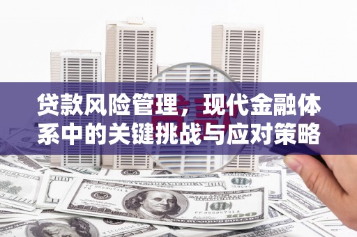 浦东贷款风险管理，现代金融体系中的关键挑战与应对策略