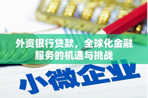 浦东外资银行贷款，全球化金融服务的机遇与挑战
