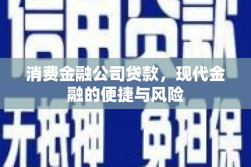 浦东消费金融公司贷款，现代金融的便捷与风险
