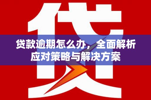 浦东贷款逾期怎么办，全面解析应对策略与解决方案