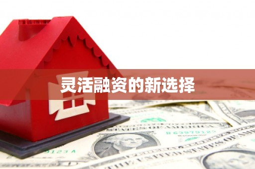 浦东灵活融资的新选择