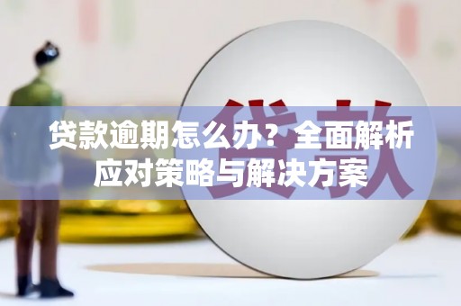 浦东贷款逾期怎么办？全面解析应对策略与解决方案