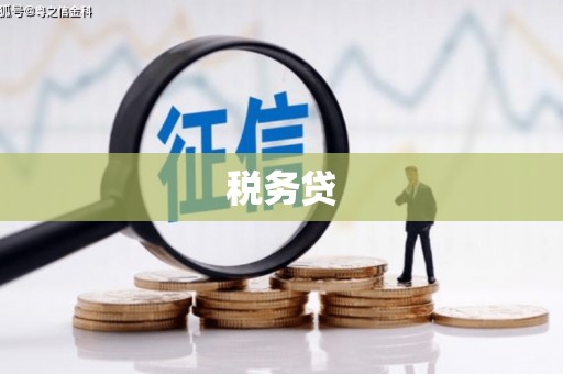 浦东税务贷