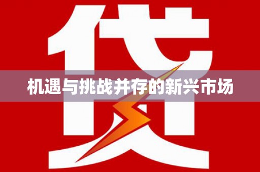 浦东机遇与挑战并存的新兴市场