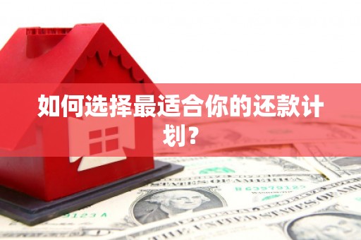 浦东如何选择最适合你的还款计划？