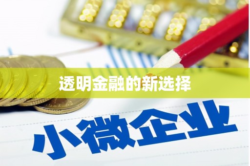 浦东透明金融的新选择
