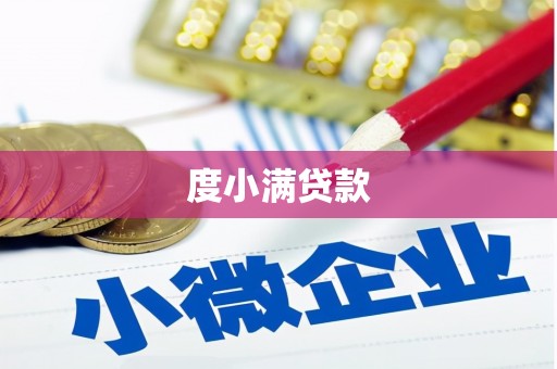 浦东度小满贷款